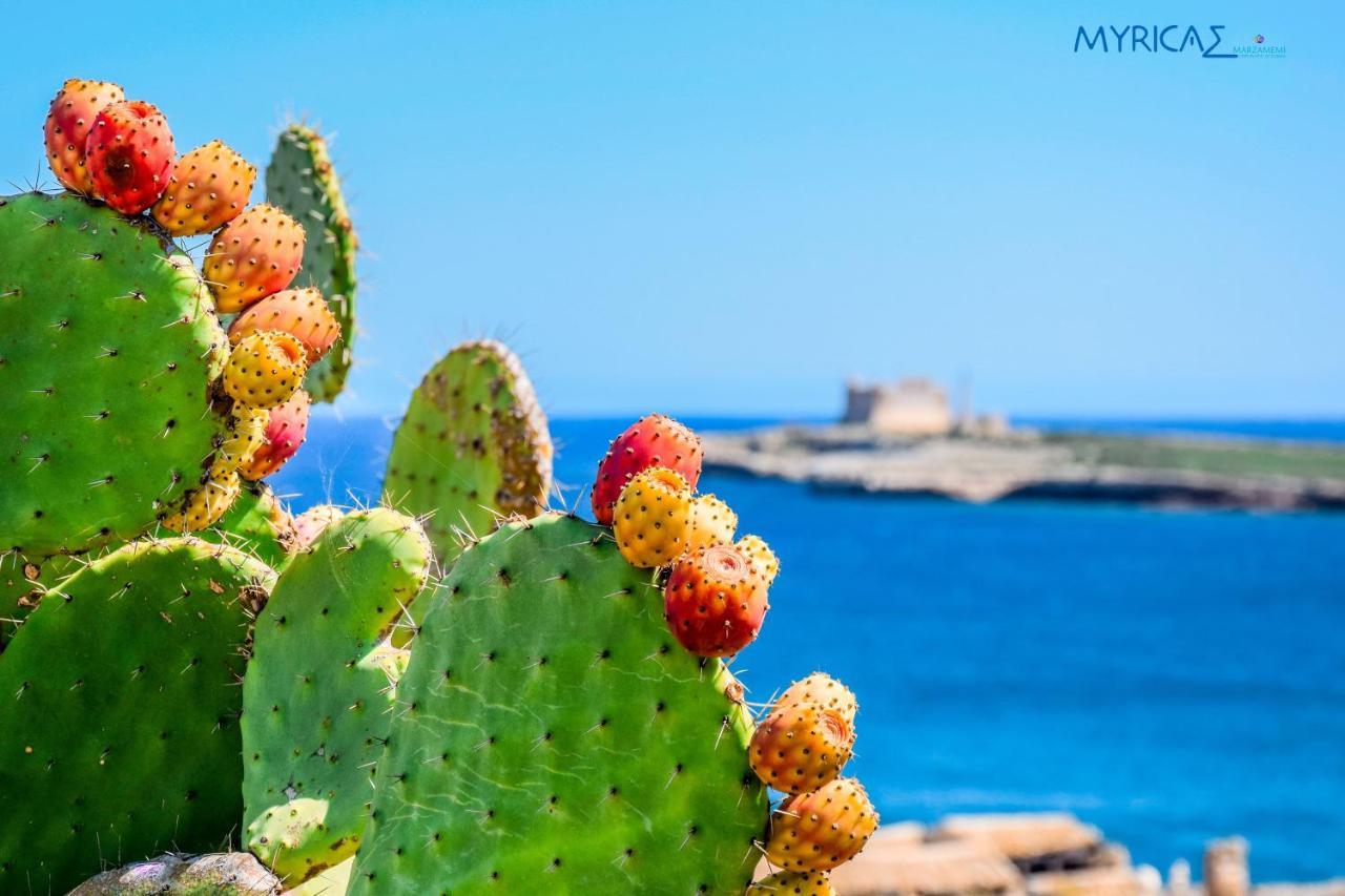Apartamento Myricae Marzamemi Ospitalita Siciliana Exterior foto
